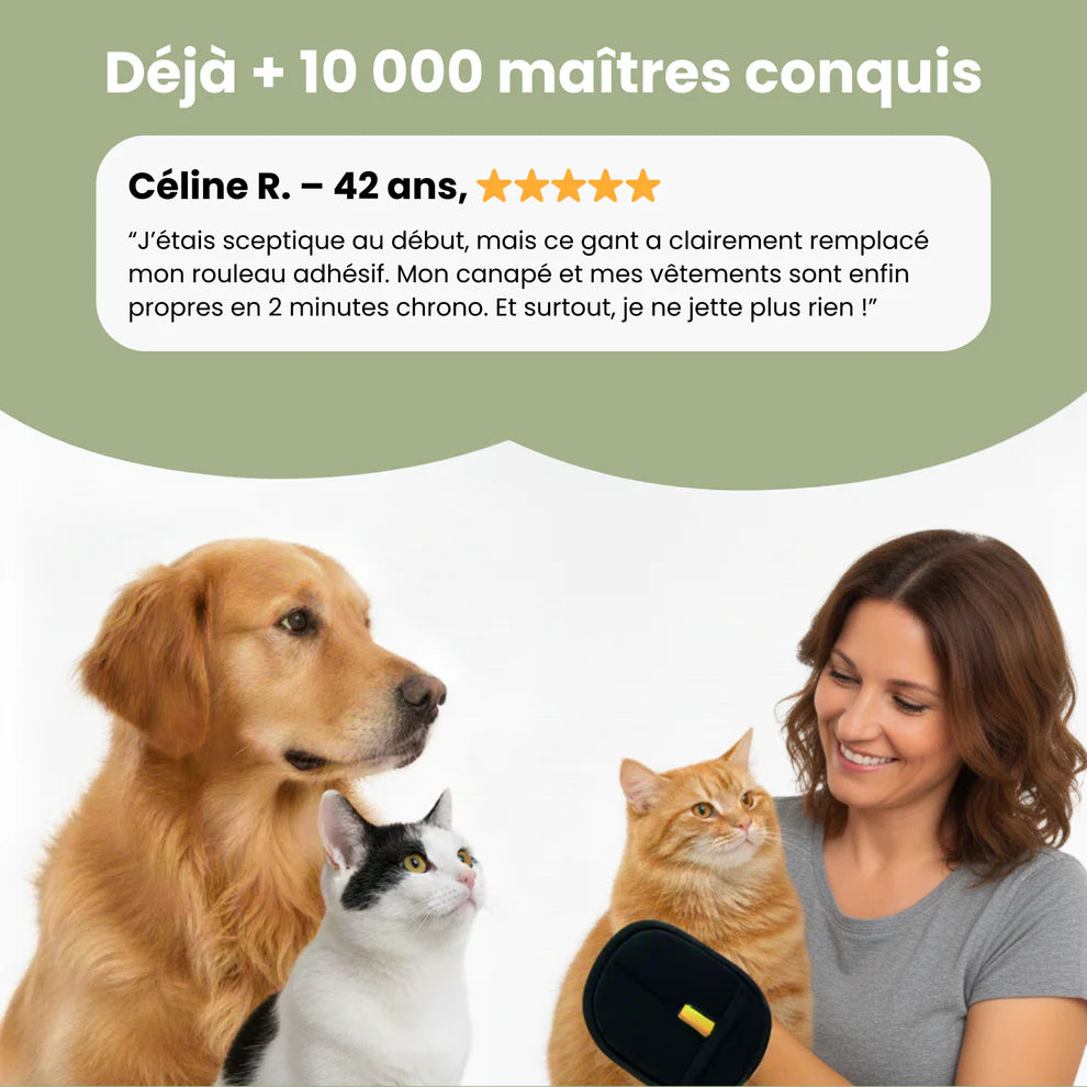 Gant contre les poils