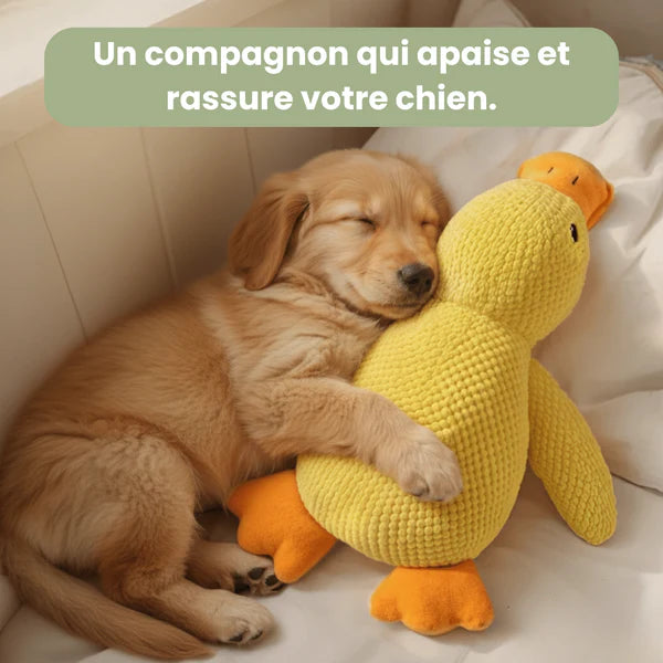 Jouet Canard