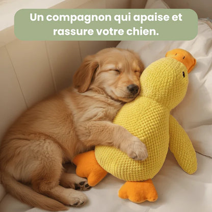 Jouet Canard