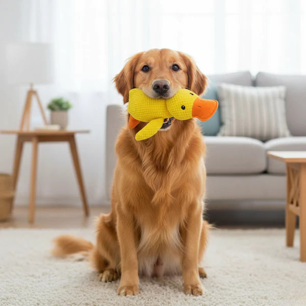 Jouet Canard