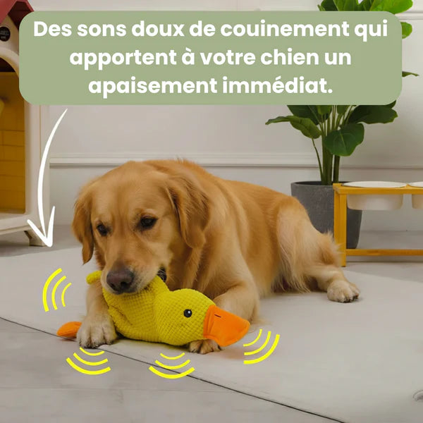 Jouet Canard