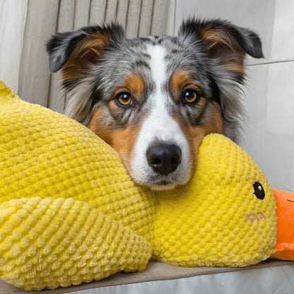 Jouet Canard