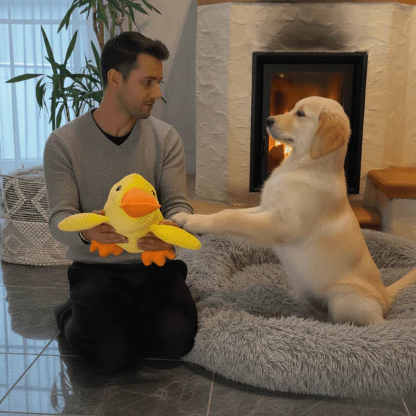 Jouet Canard