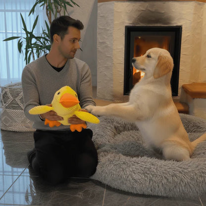 Jouet Canard
