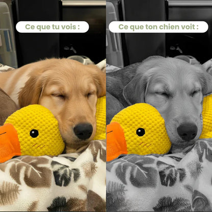 Jouet Canard