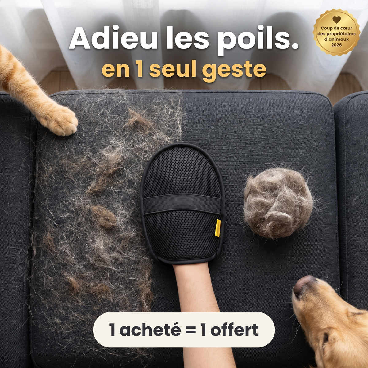 Gant contre les poils