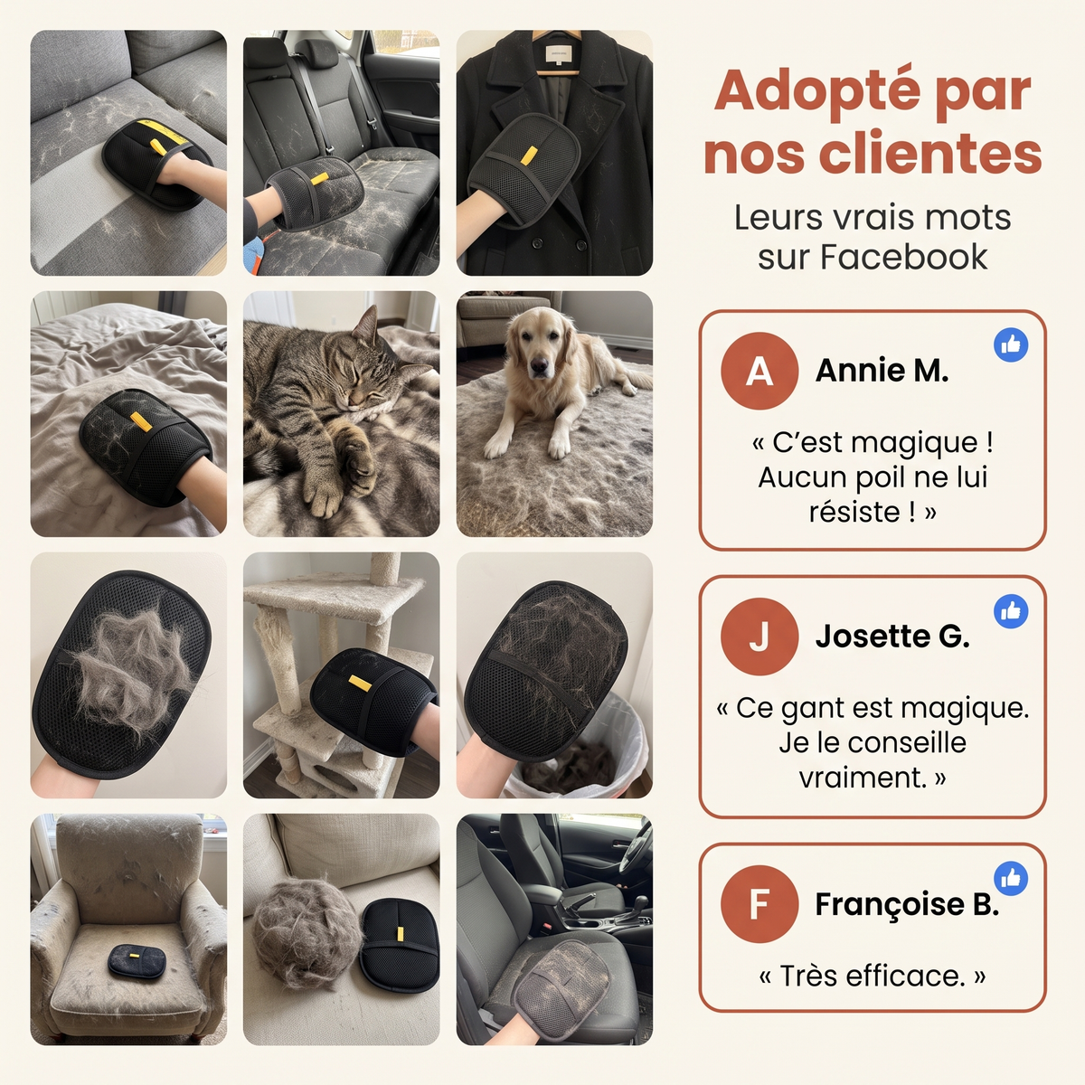 Gant contre les poils